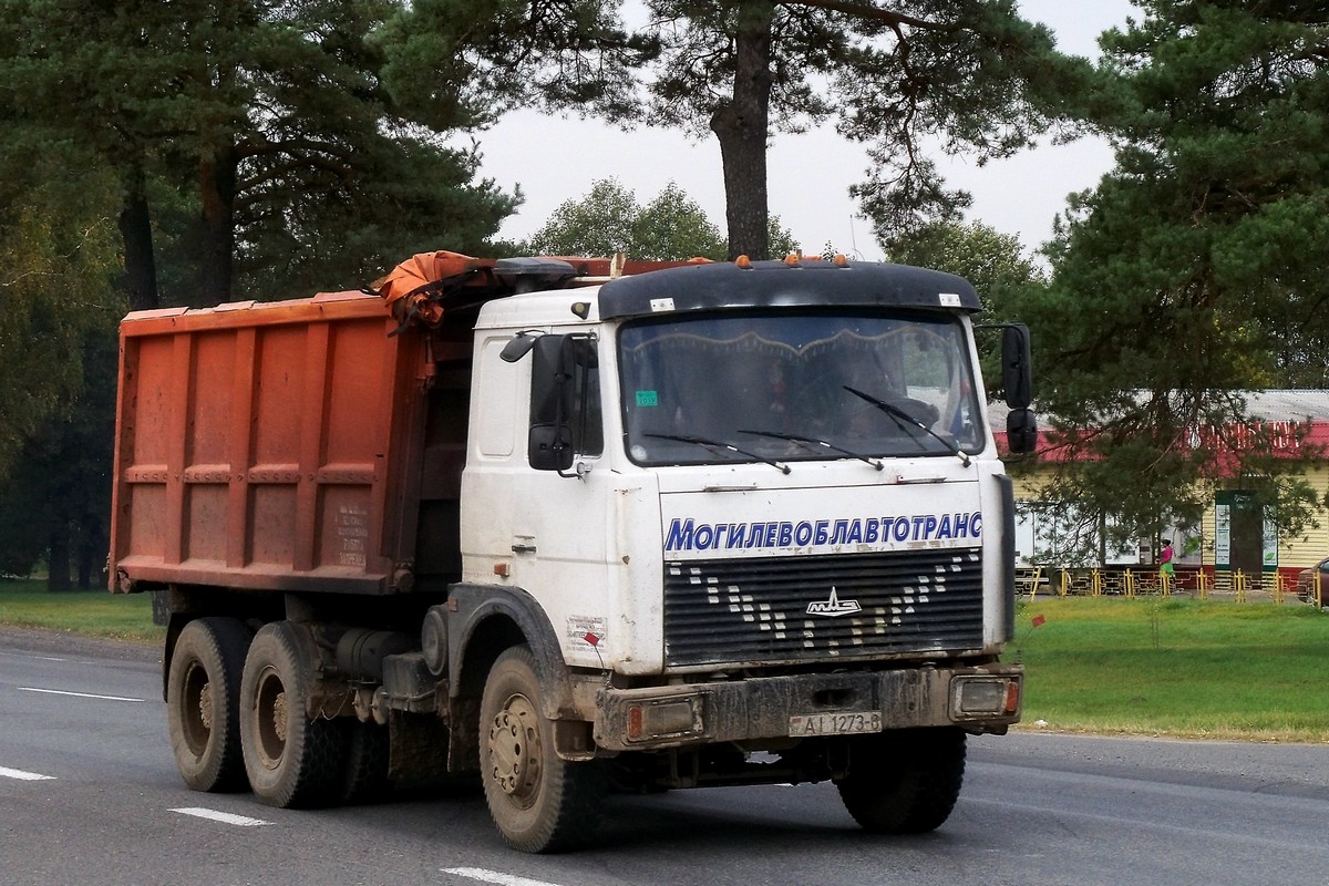 Могилёвская область, № АІ 1273-6 — МАЗ-5516 (общая модель)