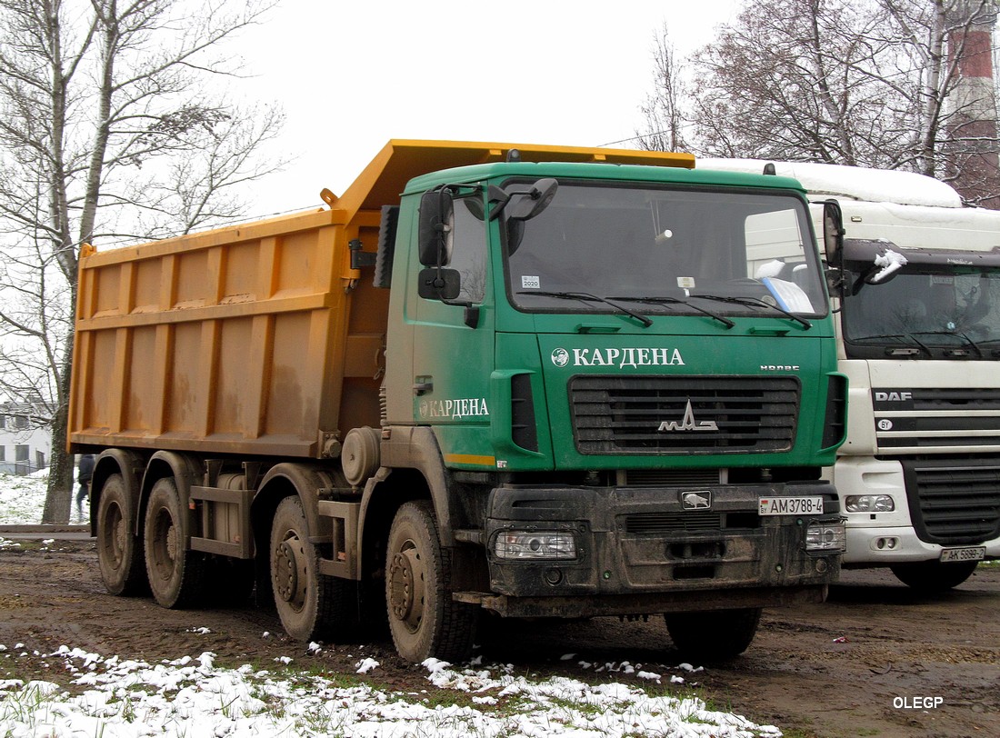 Гродненская область, № АМ 3788-4 — МАЗ-6516 (общая модель)