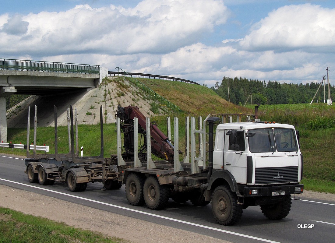 Минская область, № АМ 7985-5 — МАЗ-6317 (общая модель)