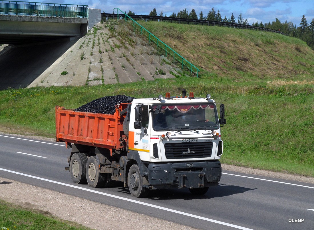 Витебская область, № АК 2173-2 — МАЗ-6501 (общая модель)