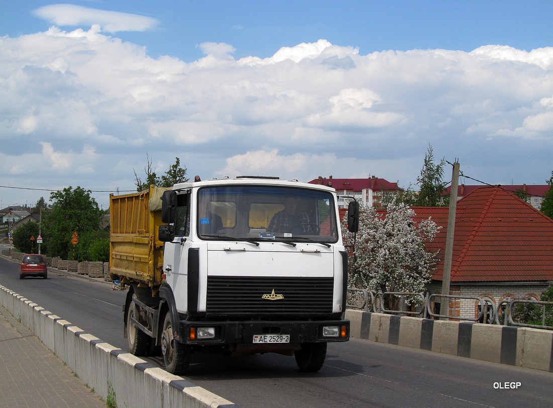 Витебская область, № АЕ 2529-2 — МАЗ-4570 (общая модель)