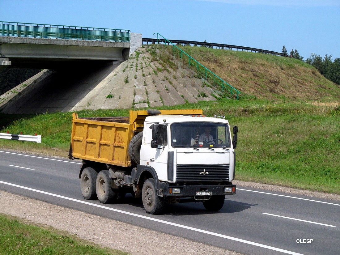 Витебская область, № АЕ 1177-2 — МАЗ-5516 (общая модель)