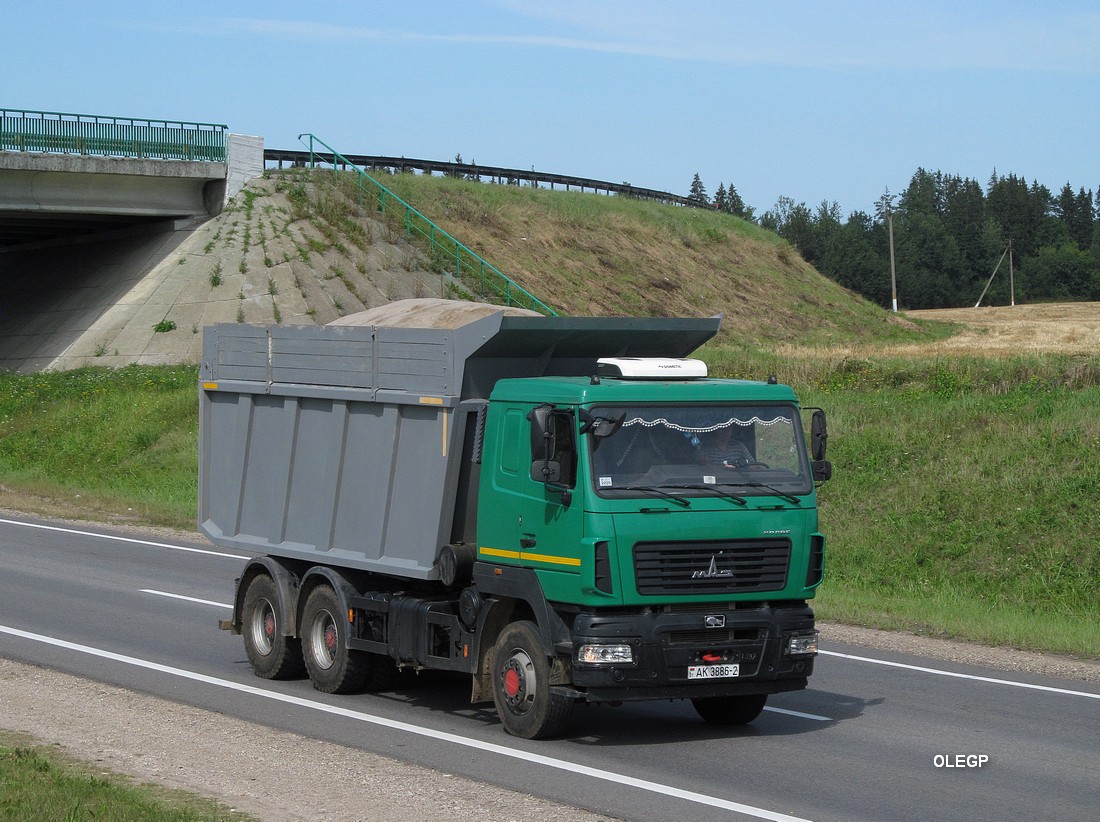 Витебская область, № АК 3886-2 — МАЗ-6501 (общая модель)