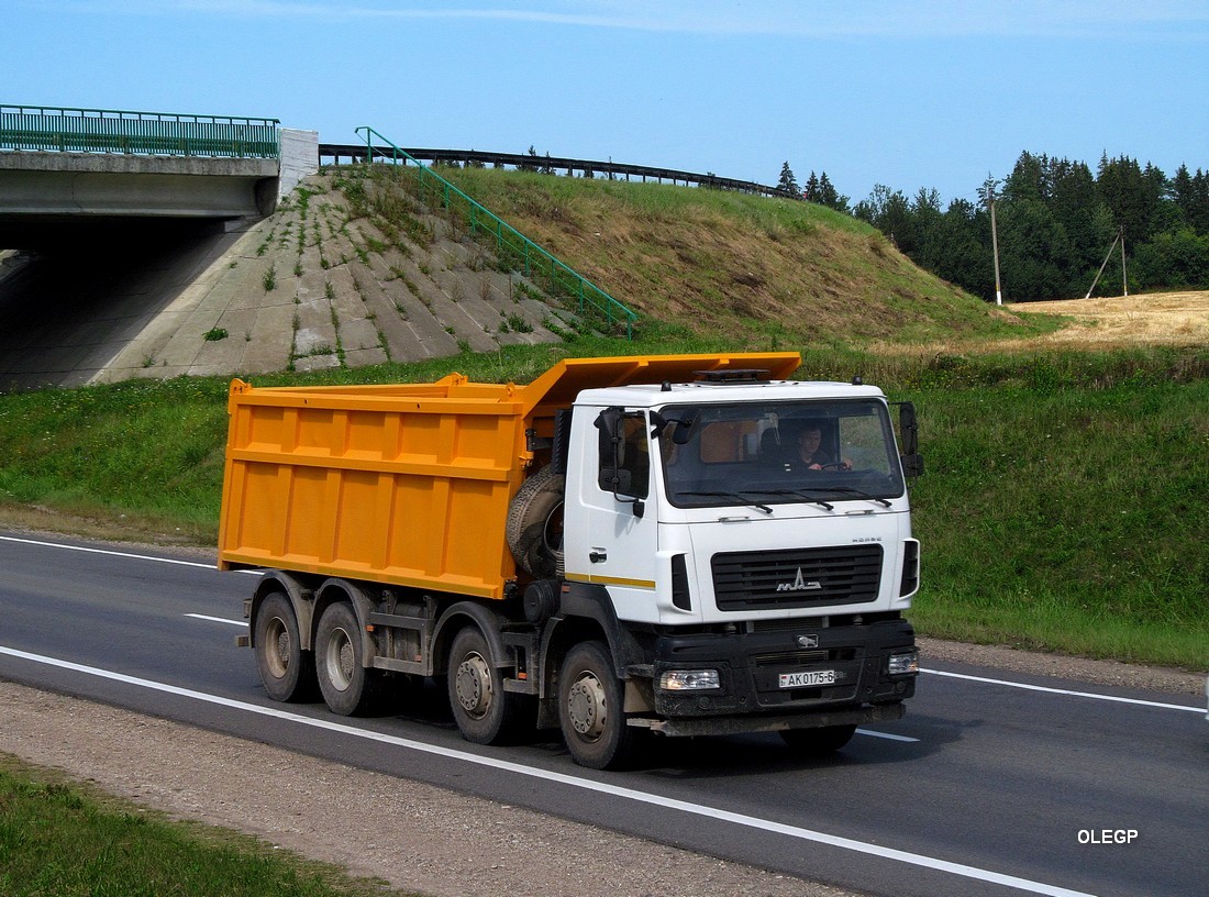 Могилёвская область, № АК 0175-6 — МАЗ-6516 (общая модель)