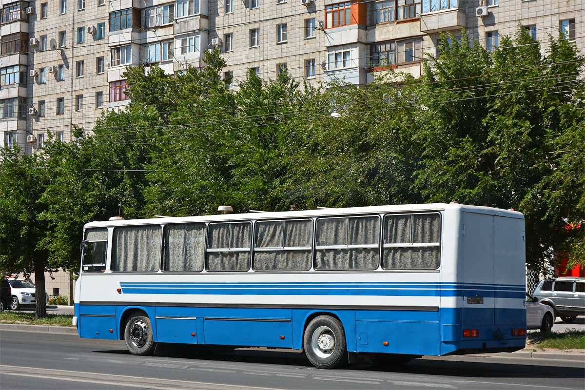 Волгоградская область, № 944 — Ikarus (общая модель)