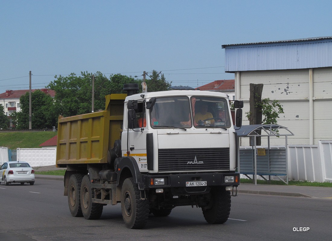 Витебская область, № АК 1204-2 — МАЗ-6517 (общая модель)