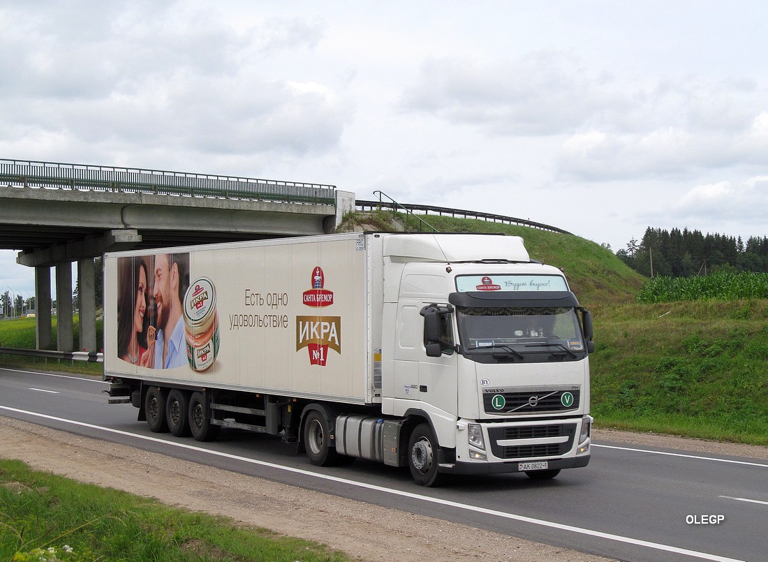 Брестская область, № АК 0822-1 — Volvo ('2008) FH.420