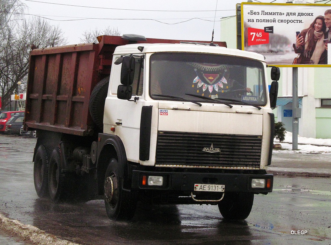 Минская область, № АЕ 9131-5 — МАЗ-5516 (общая модель)