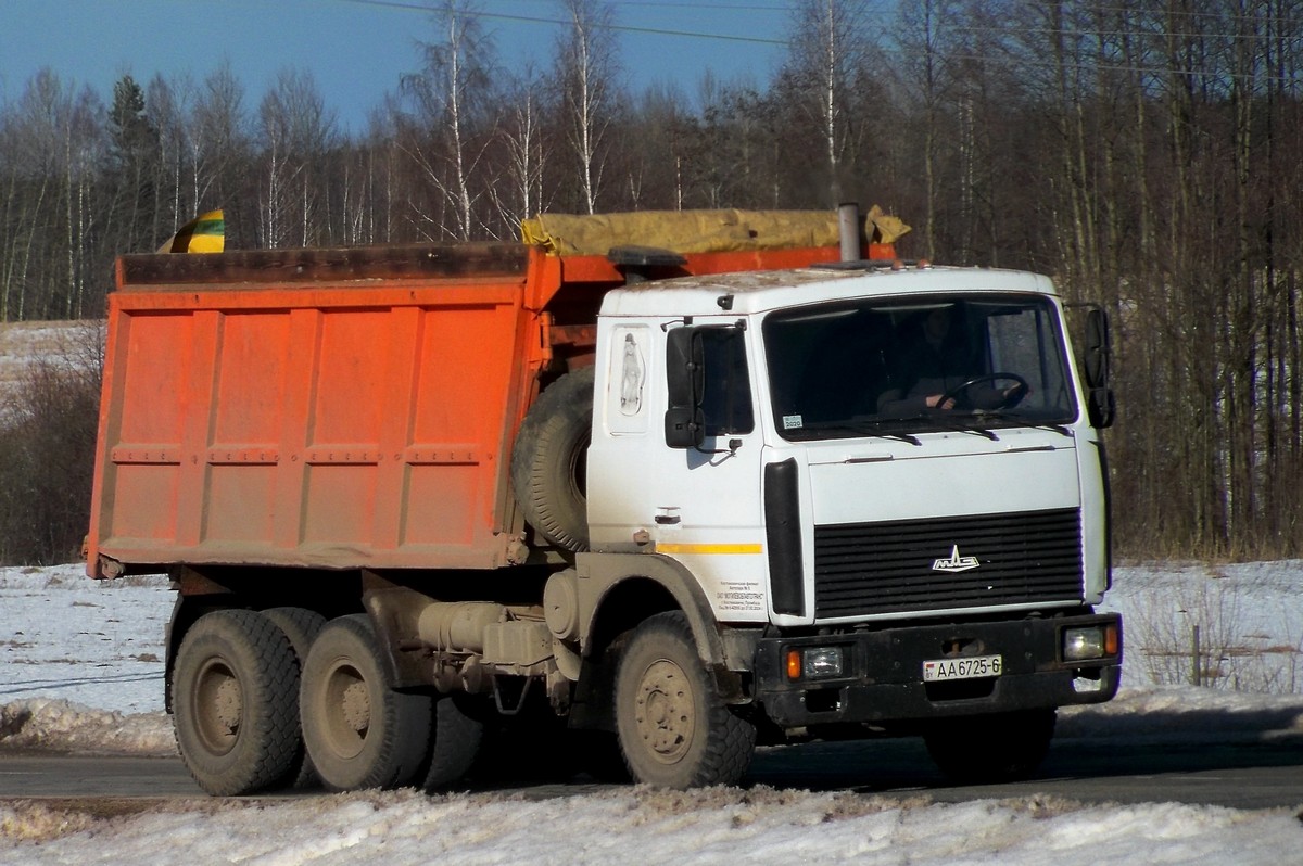 Могилёвская область, № АА 6725-6 — МАЗ-5516 (общая модель)