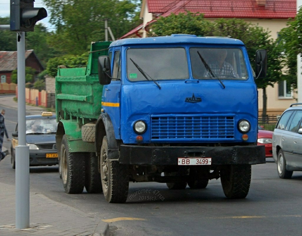 Витебская область, № ВВ 3499 — МАЗ-5549