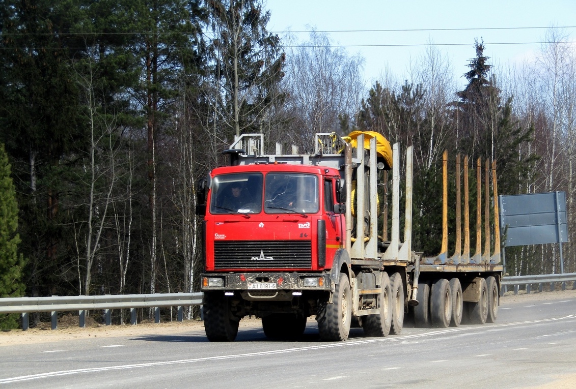 Могилёвская область, № АІ 6191-6 — МАЗ-6317 (общая модель)