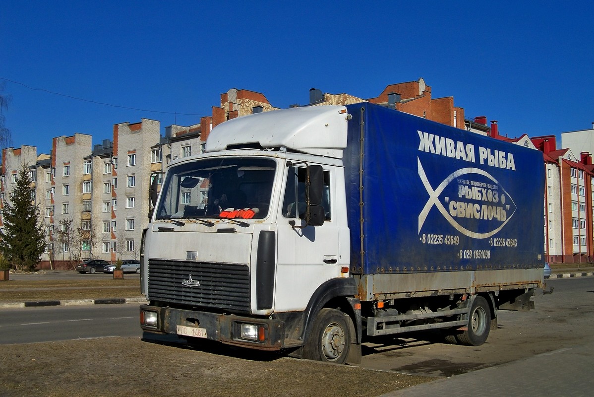 Могилёвская область, № ТС 1481 — МАЗ-437041 "Зубрёнок"