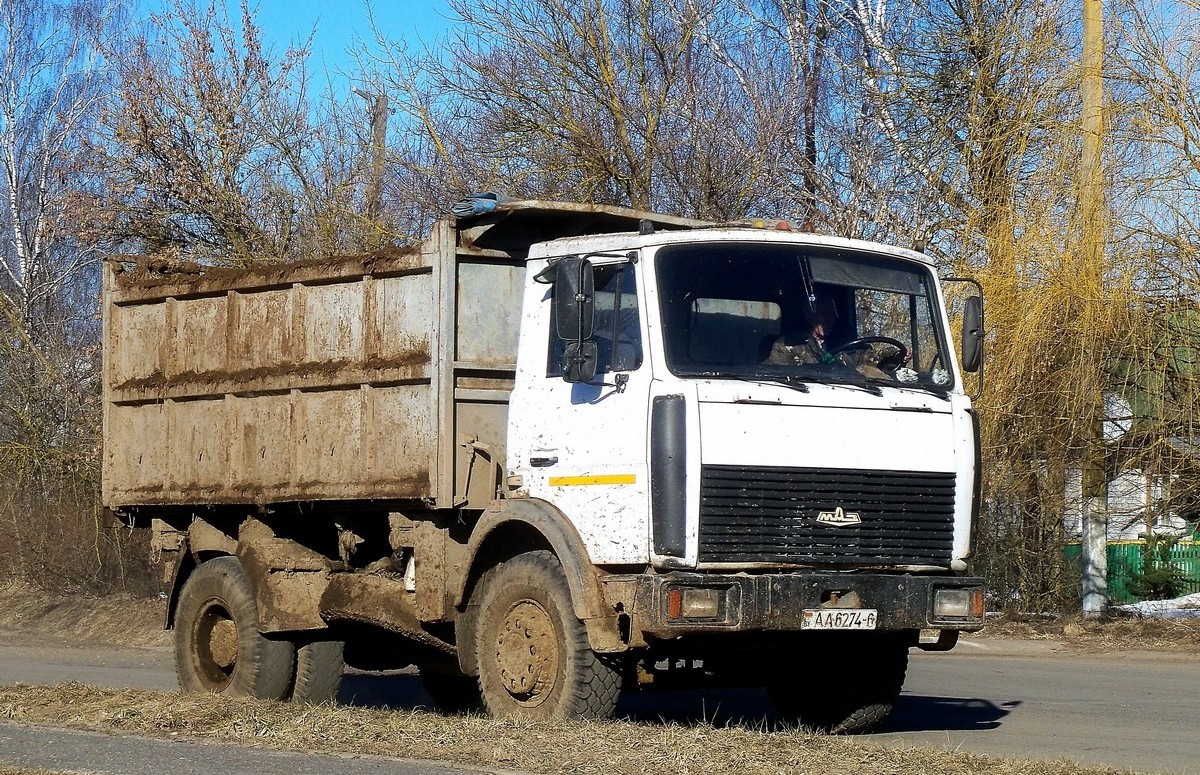 Могилёвская область, № АА 6274-6 — МАЗ-5551 (общая модель)