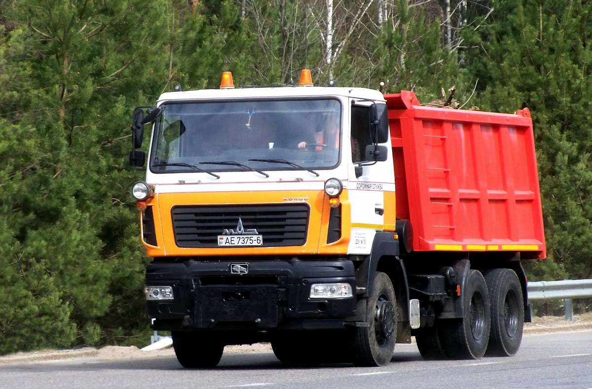 Могилёвская область, № АЕ 7375-6 — МАЗ-6501 (общая модель)