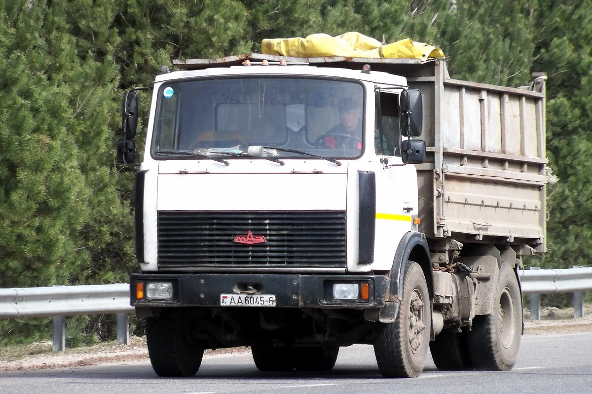 Могилёвская область, № АА 6045-6 — МАЗ-5551 (общая модель)