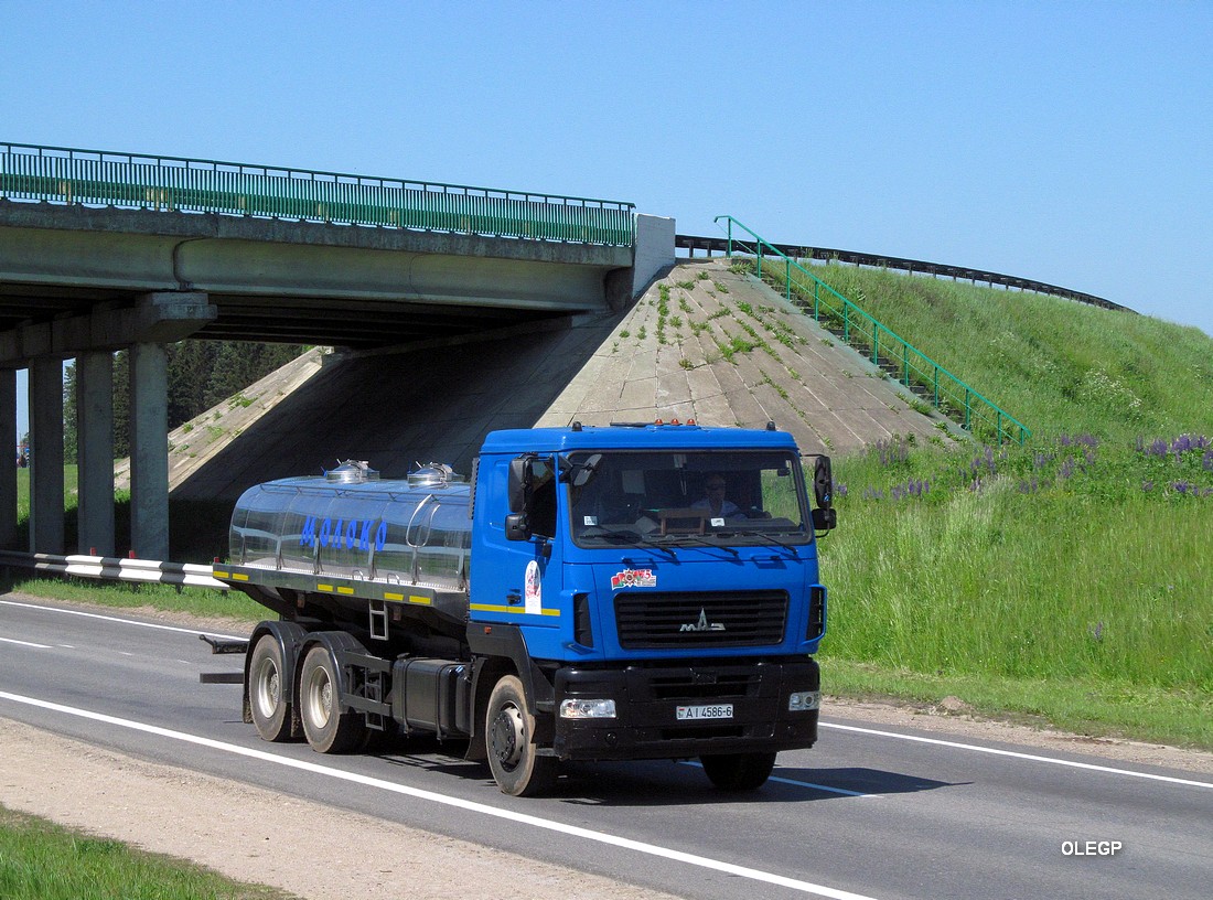 Могилёвская область, № АІ 4586-6 — МАЗ-6312 (общая модель)