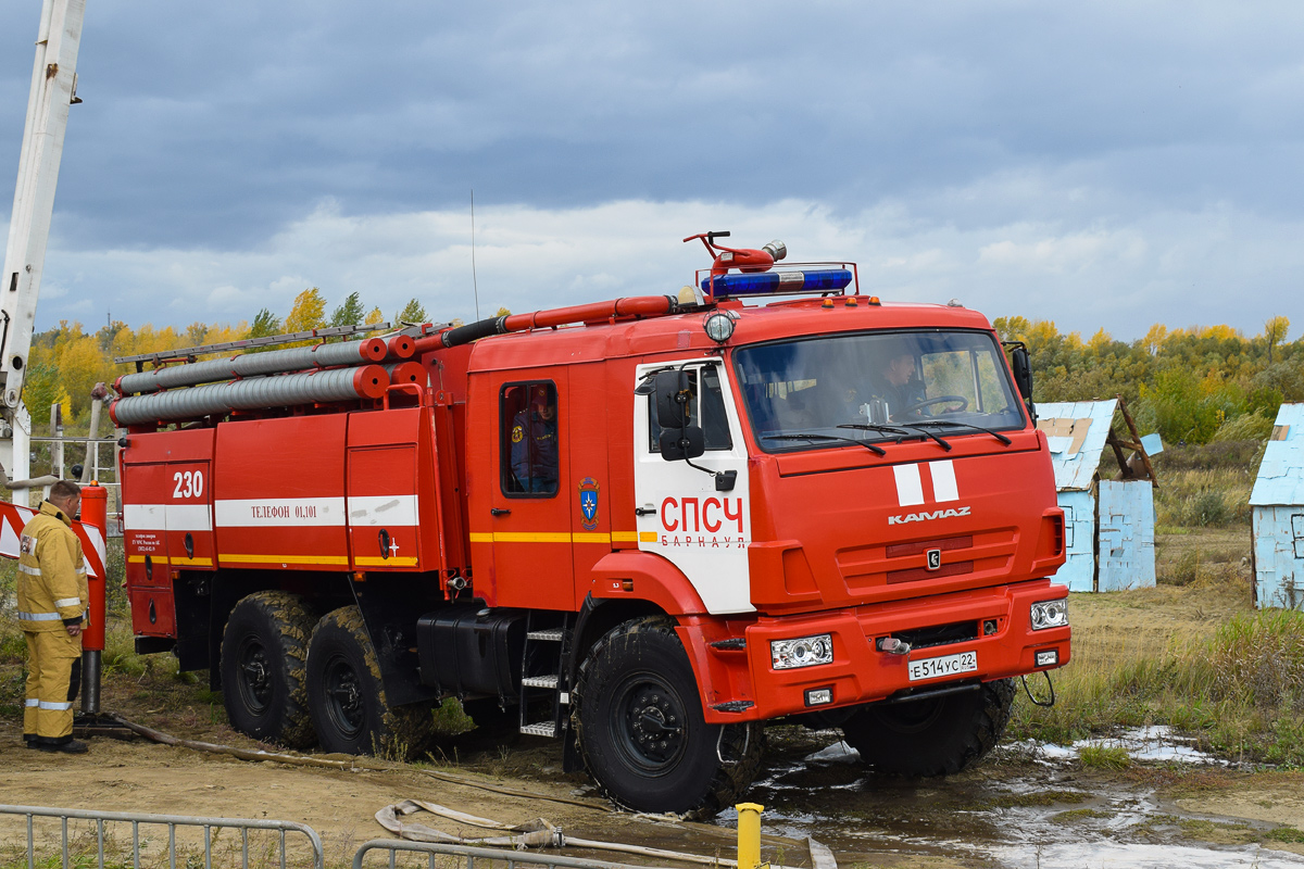 Алтайский край, № 230 — КамАЗ-43118-46