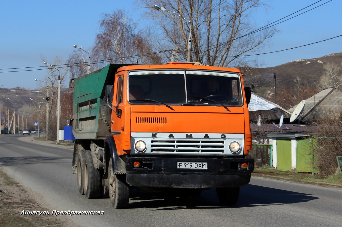 Восточно-Казахстанская область, № F 919 DXM — КамАЗ-55111 [551110]