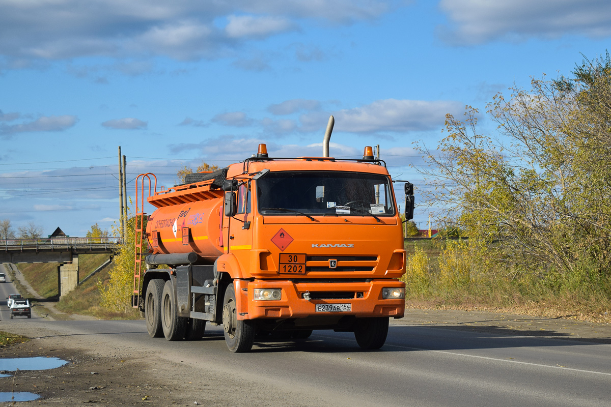 Новосибирская область, № Е 239 АВ 154 — КамАЗ-65115-A4