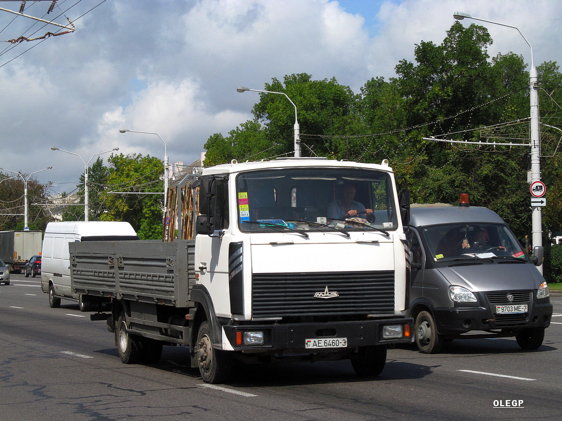 Гомельская область, № АМ 6460-3 — МАЗ-4370 (общая модель)