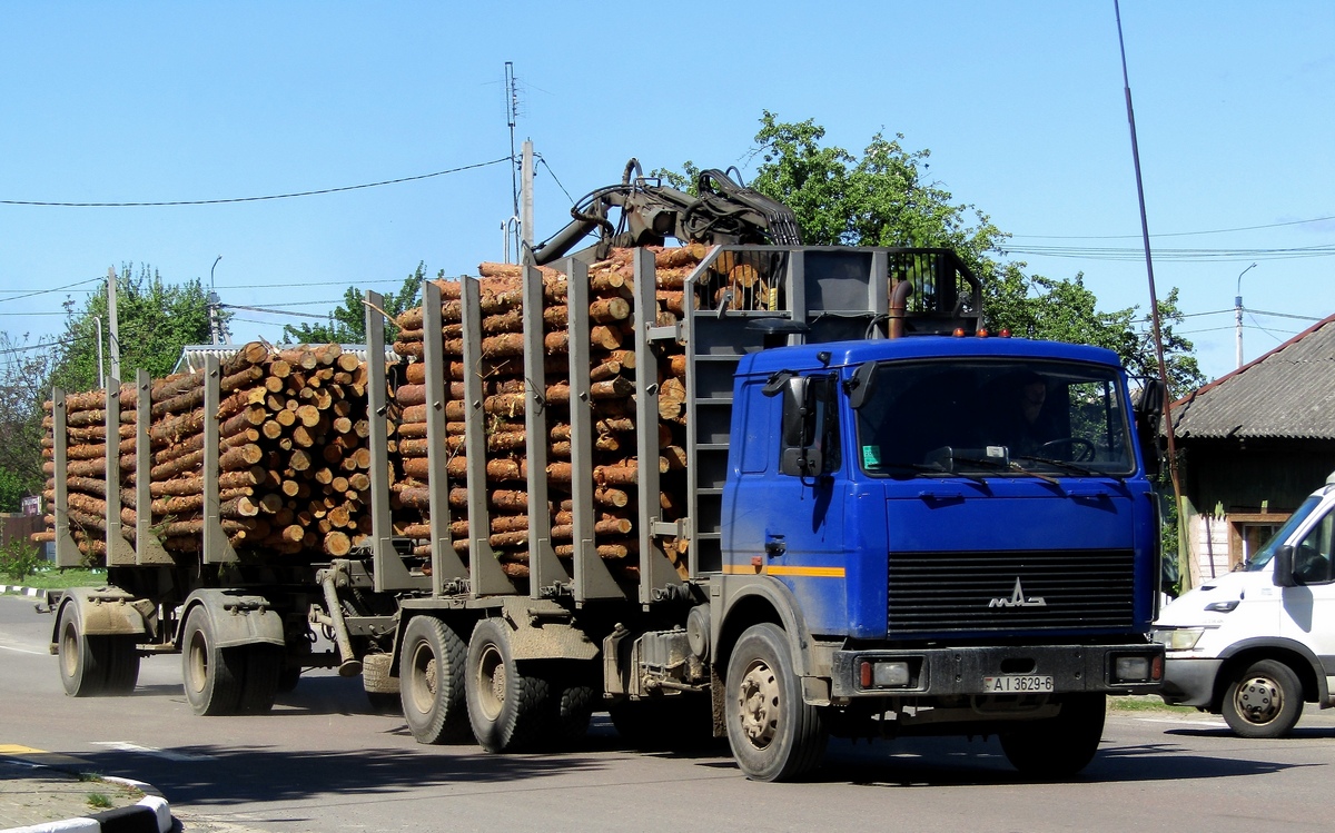 Могилёвская область, № АІ 3629-6 — МАЗ-6303 (общая модель)