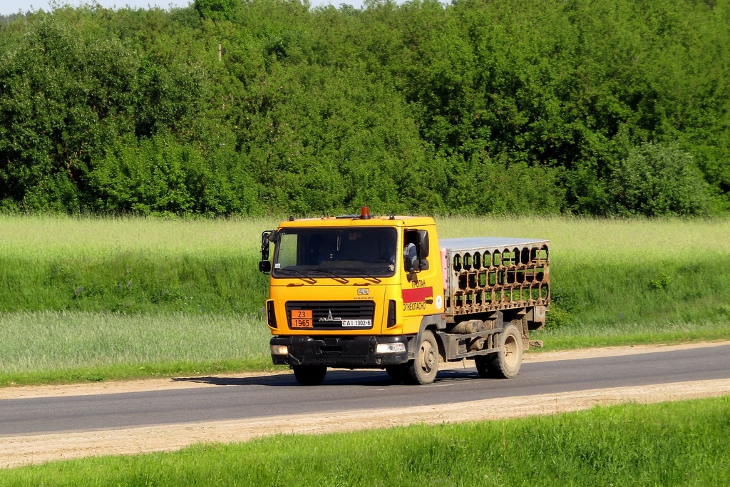 Могилёвская область, № АІ 1302-6 — МАЗ-4571