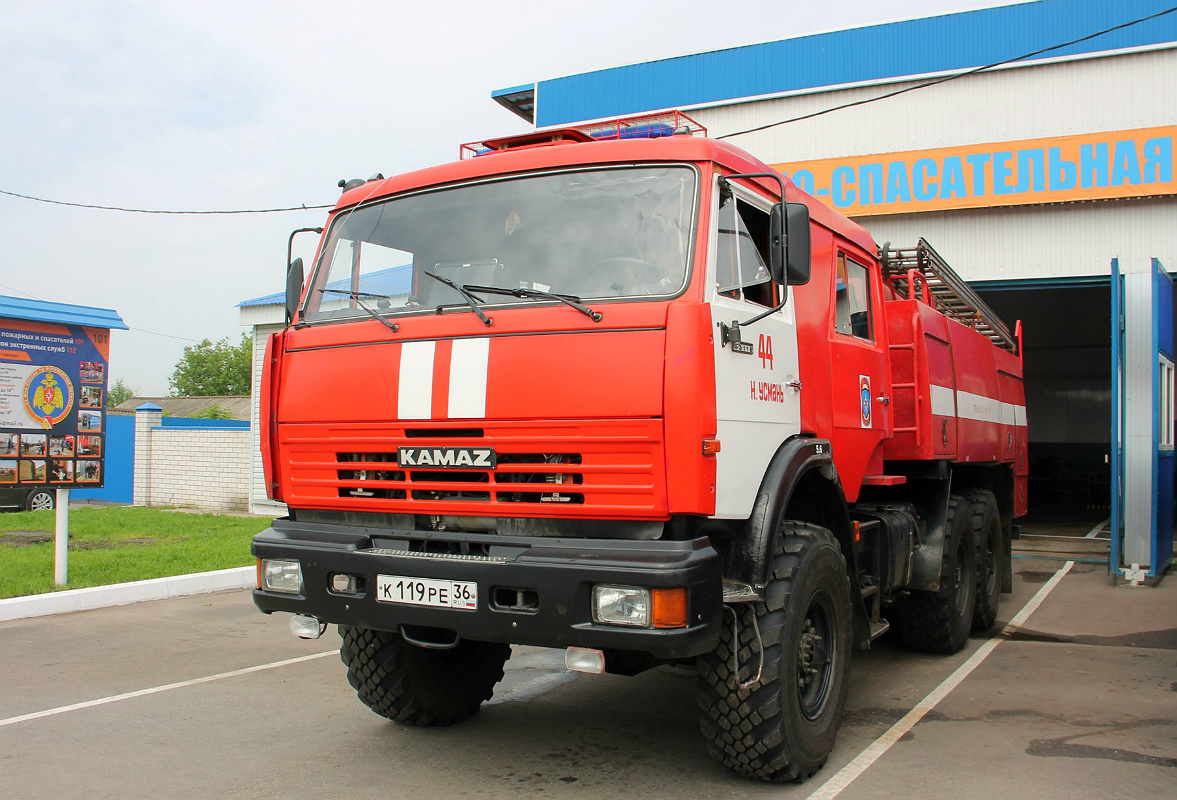 Воронежская область, № К 119 РЕ 36 — КамАЗ-43118-15 [43118R]