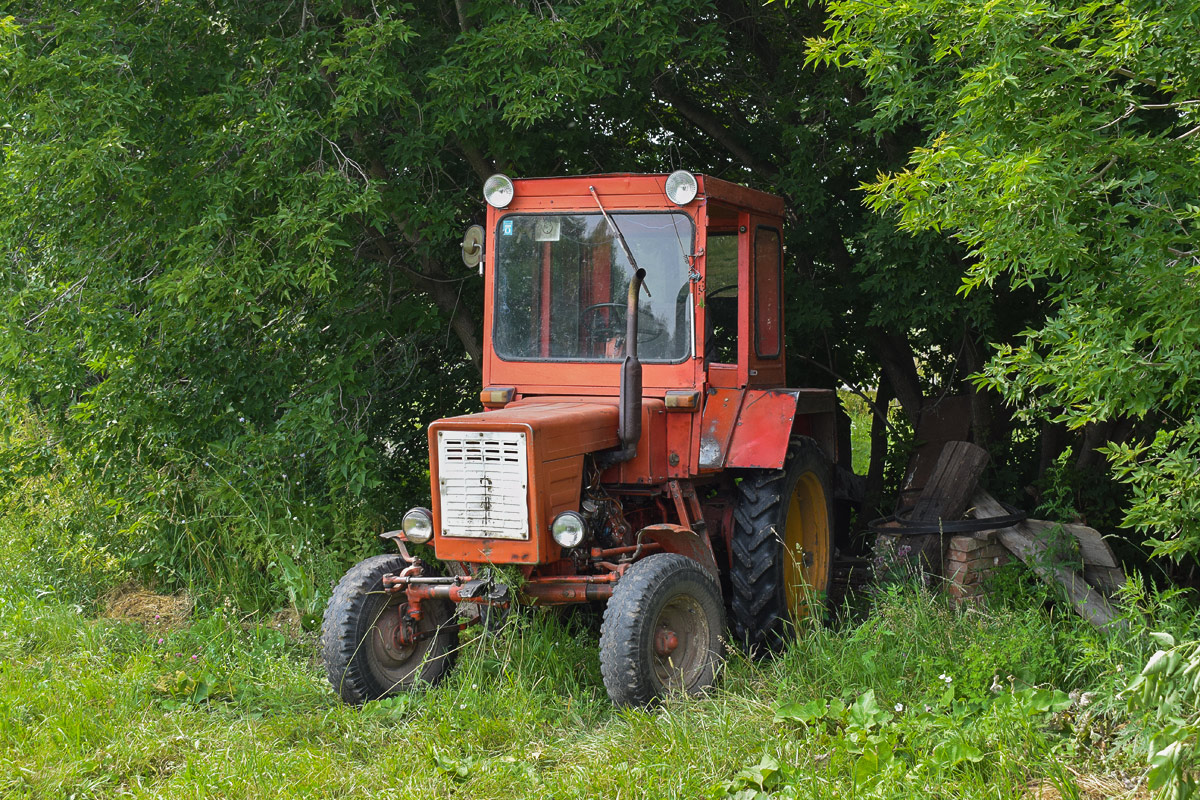 Алтайский край, № 3895 АА 22 — Т-25/Т-30