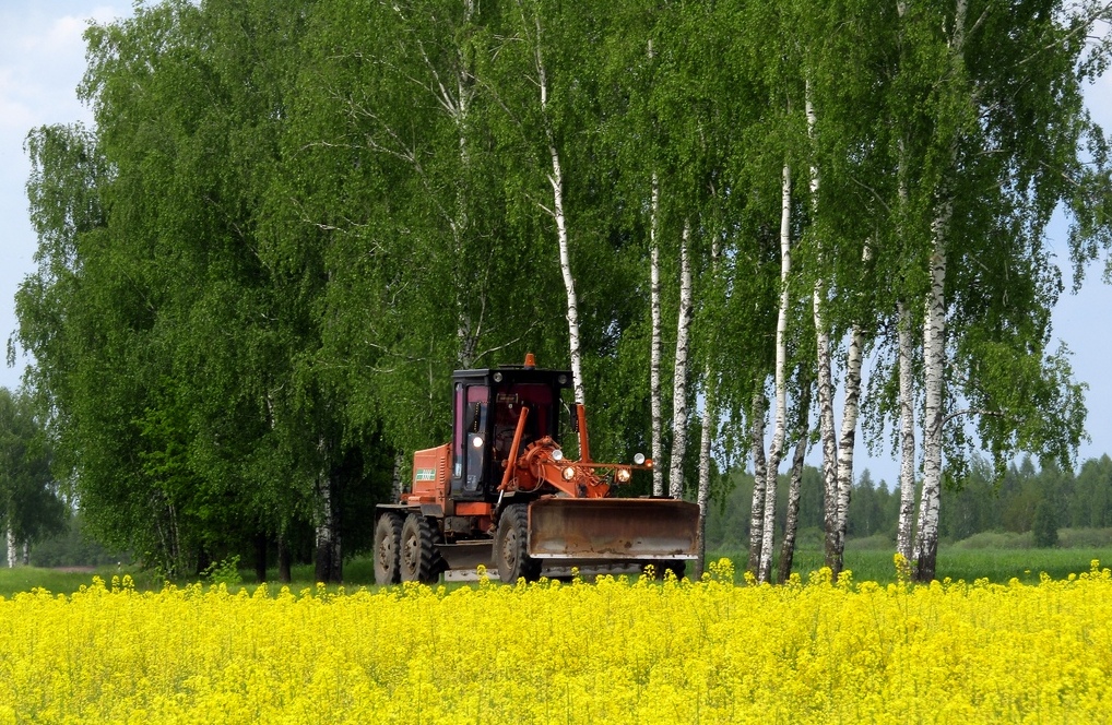 Могилёвская область, № ТА 2450 — ГС-14.02