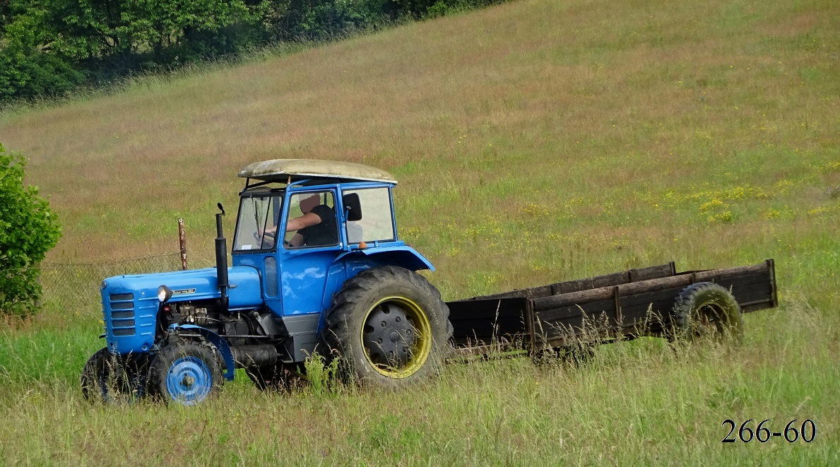 Словакия, № C 38431 — Zetor 3011