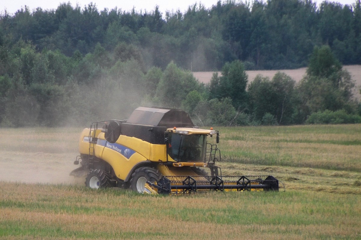 Могилёвская область, № (BY-6) Б/Н СТ 0130 — New Holland CX8080