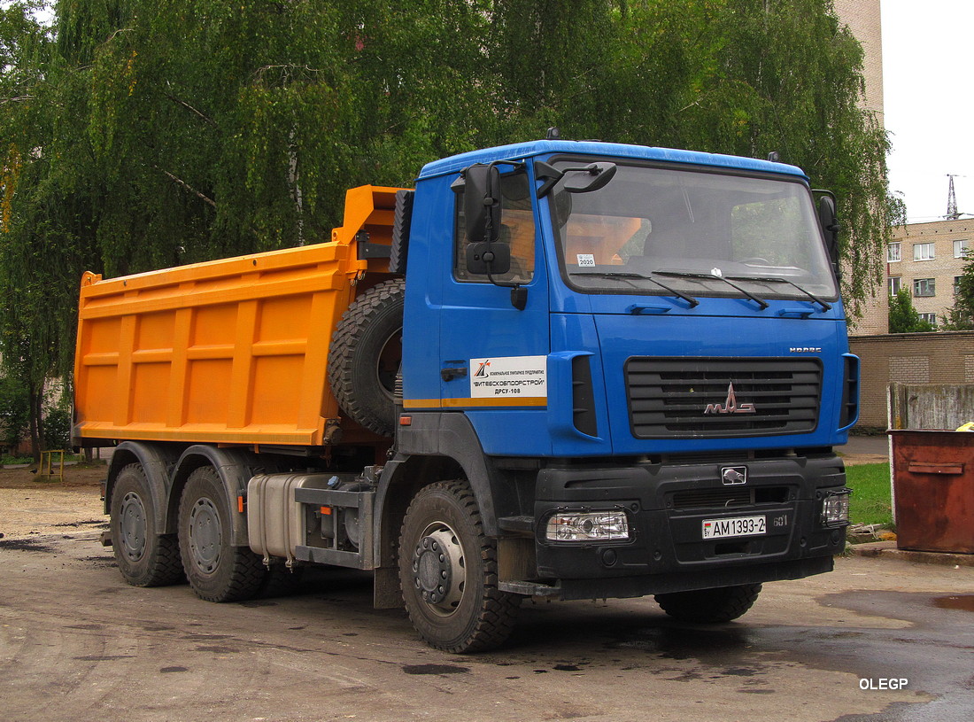 Витебская область, № АМ 1393-2 — МАЗ-6501C5