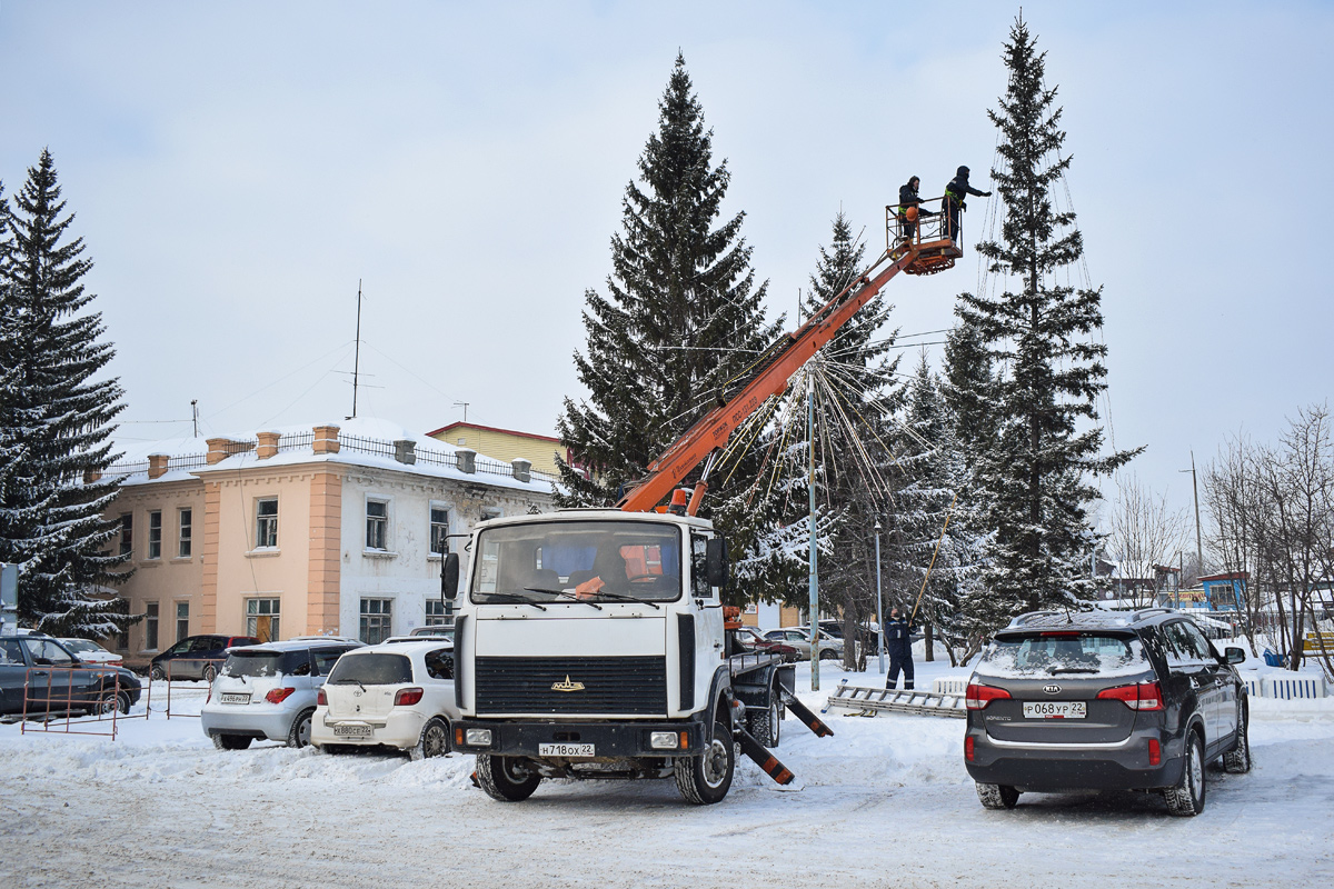 Алтайский край, № Н 718 ОХ 22 — МАЗ-437041 "Зубрёнок"