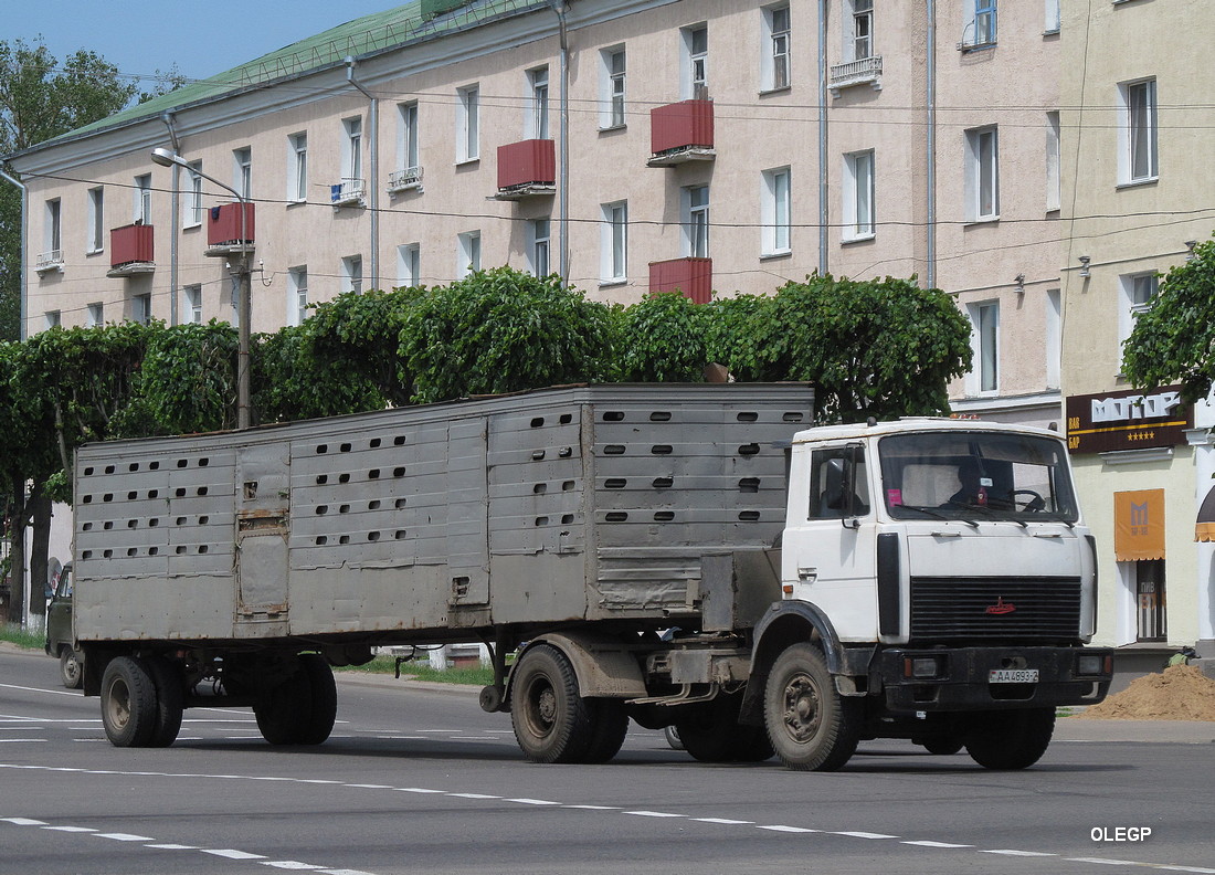 Витебская область, № АА 4893-2 — МАЗ-5433 (общая модель)