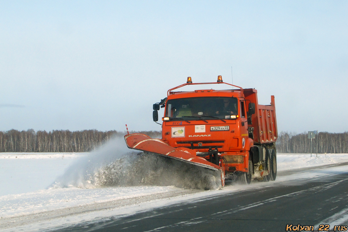 Алтайский край, № К 329 ХН 22 — КамАЗ-65115-42