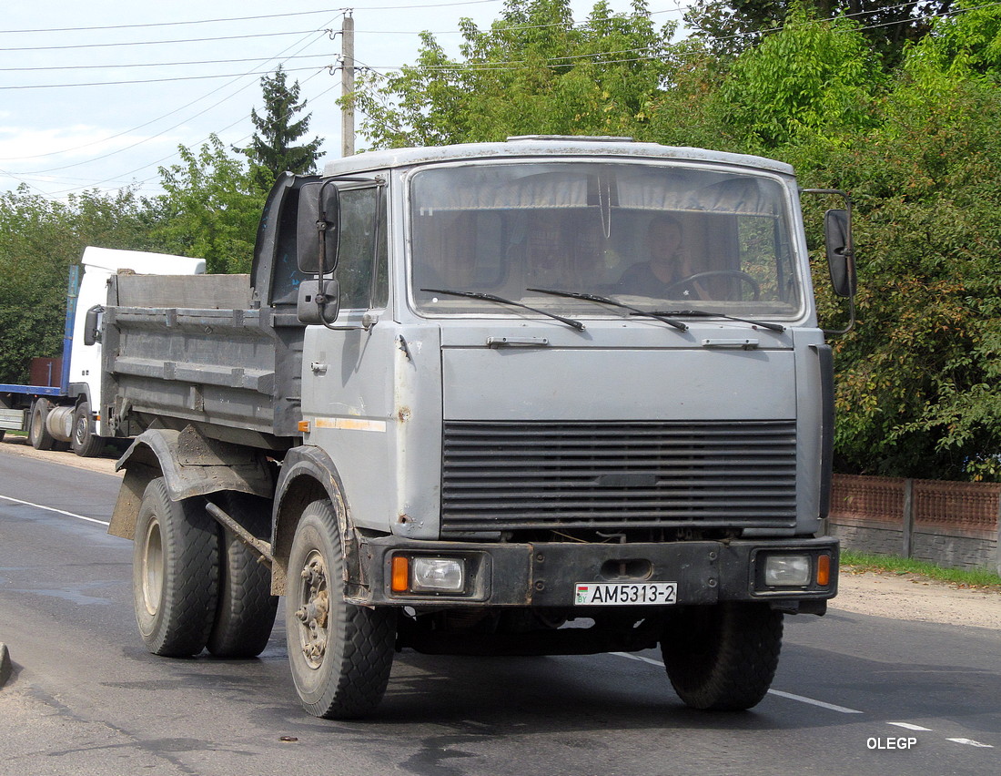 Витебская область, № АМ 5313-2 — МАЗ-5551 (общая модель)