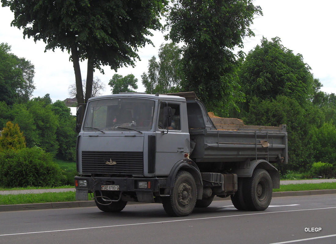 Витебская область, № АЕ 8780-2 — МАЗ-5551 (общая модель)