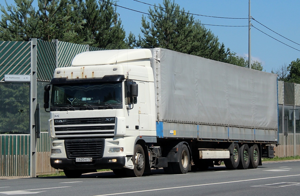 Калининградская область, № О 620 МТ 39 — DAF XF95 FT