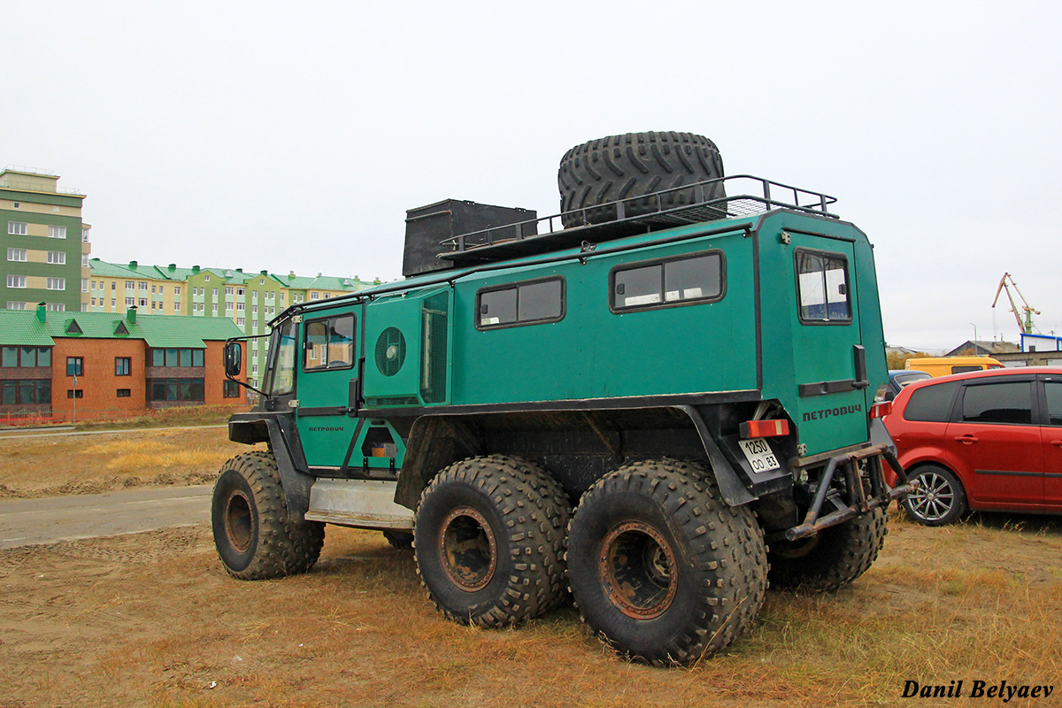 Ненецкий автономный округ, № 1250 ОО 83 — Петрович (общая модель)