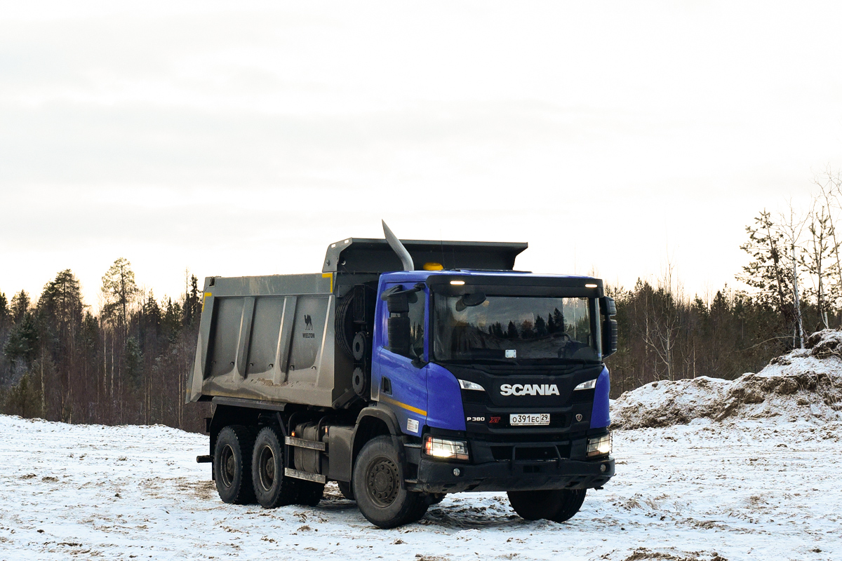 Архангельская область, № О 391 ЕС 29 — Scania ('2016) P380