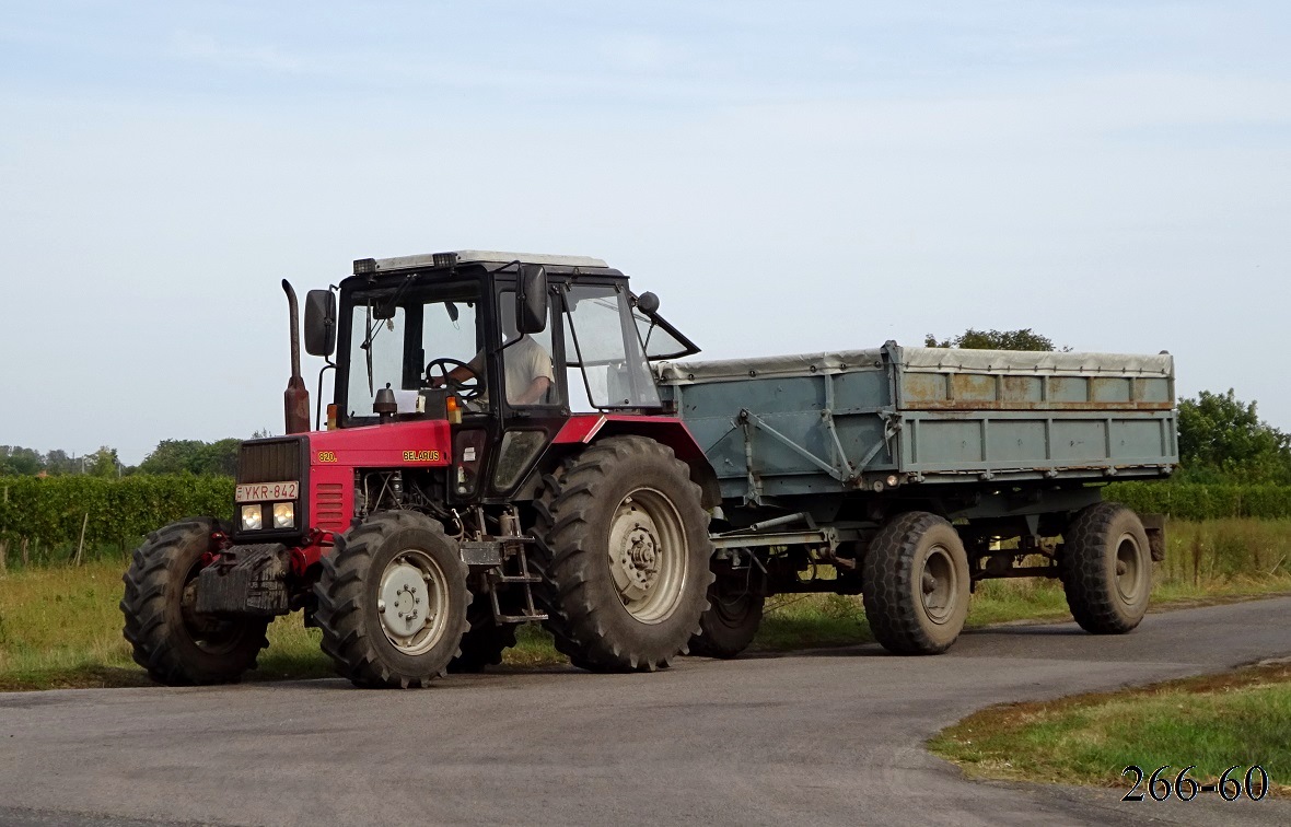 Венгрия, № YKR-842 — Беларус-820.4; Венгрия — Сбор винограда в Венгрии