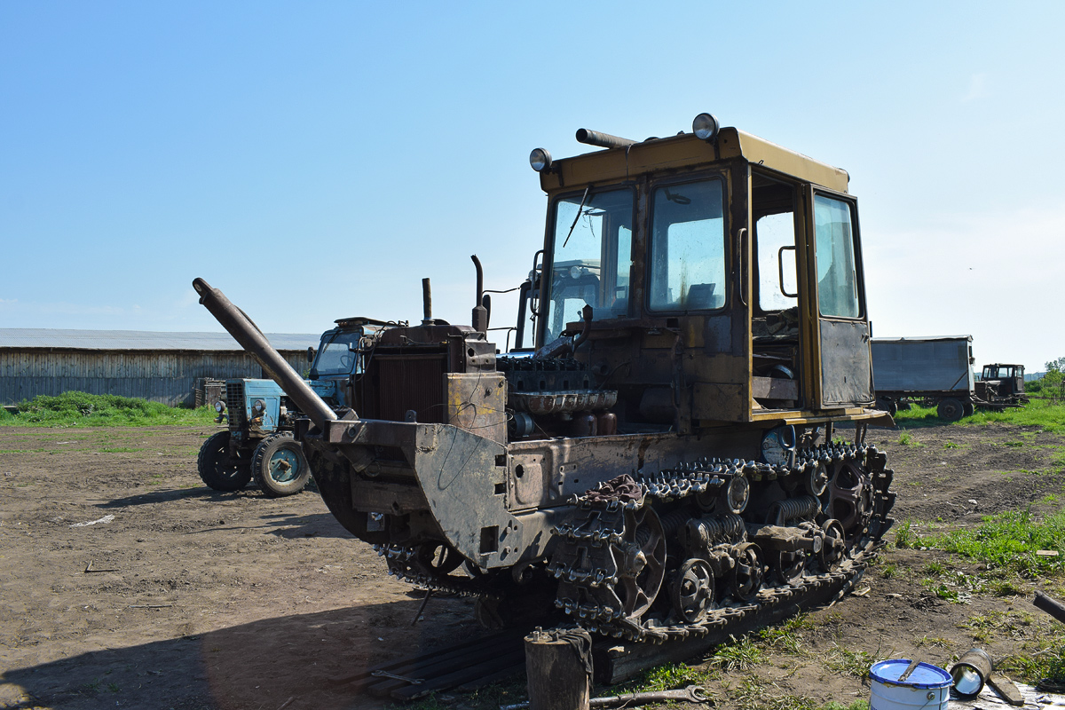 Алтайский край, № 8455 АН 22 — ДТ-75МЛ/Т (общая модель)