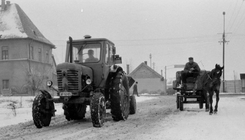 Венгрия, № VF-53-85 — МТЗ-50; Венгрия — Исторические фотографии (Спецтехника)