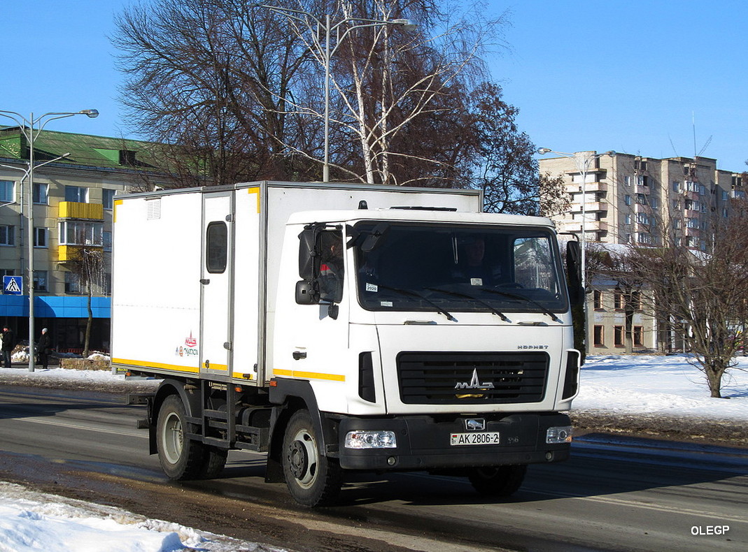 Витебская область, № АК 2806-2 — МАЗ-4571