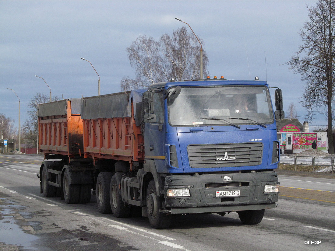 Витебская область, № АМ 1719-2 — МАЗ-6501C9