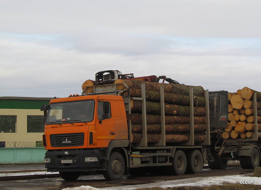 Витебская область, № АК 9019-2 — МАЗ-631228