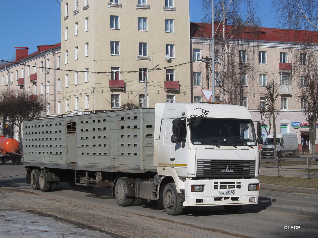 Витебская область, № АІ 6637-2 — МАЗ-5440 (общая модель)