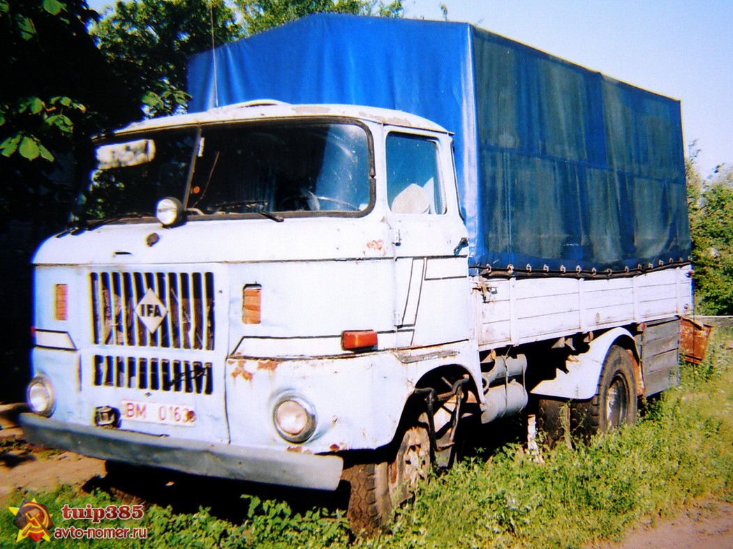 Витебская область, № ВМ 0163 — IFA W50L