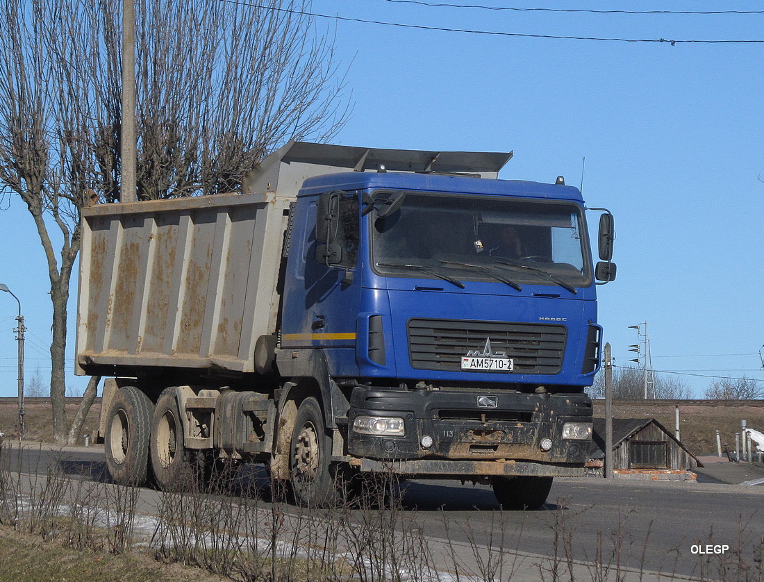 Витебская область, № АМ 5710-2 — МАЗ-6501 (общая модель)