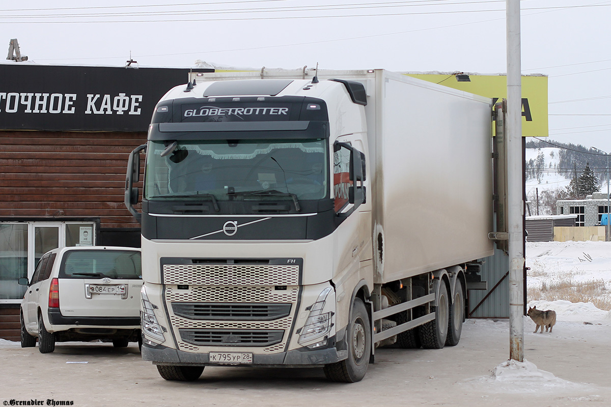 Амурская область, № К 795 УР 28 — Volvo ('2020) FH.420 [X9P]